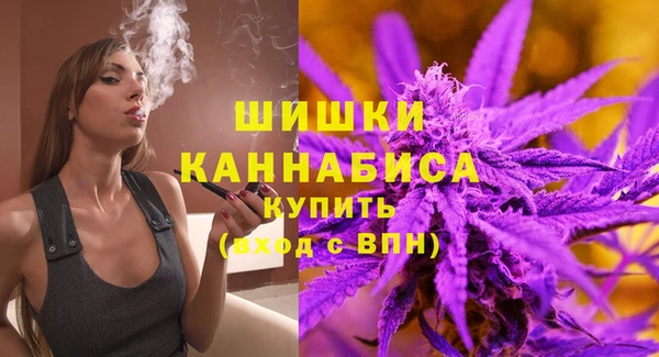 прущий лед Горняк