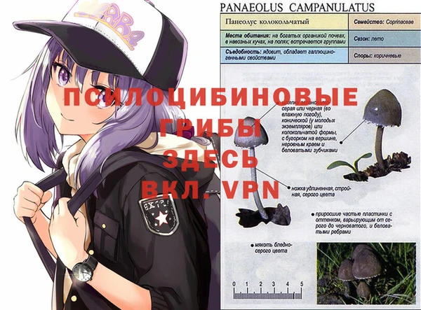 крисы Гусев