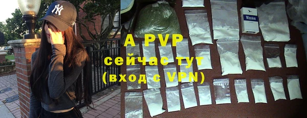 ECSTASY Гусиноозёрск