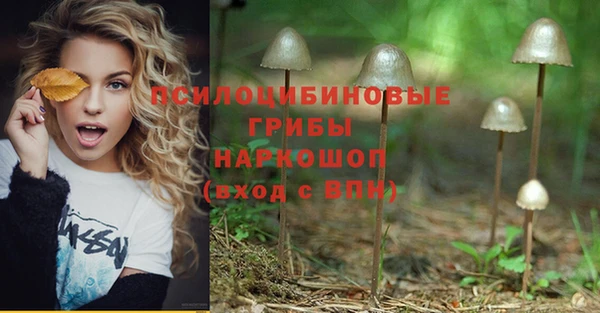 прущий лед Горняк