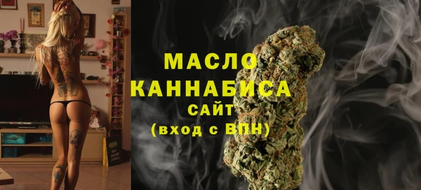 прущий лед Горняк