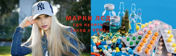 крисы Гусев