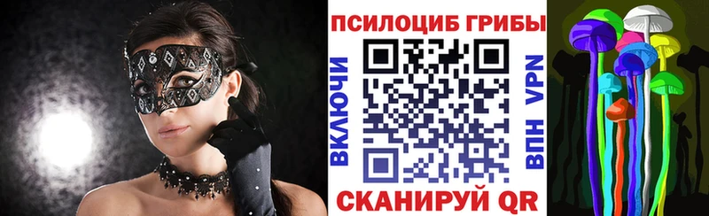 Галлюциногенные грибы Cubensis  MEGA как зайти  Северодвинск 